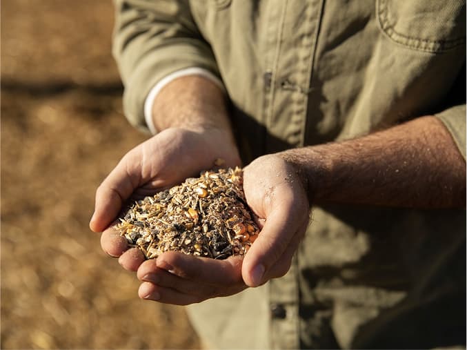 Agricultural supplier with seeds