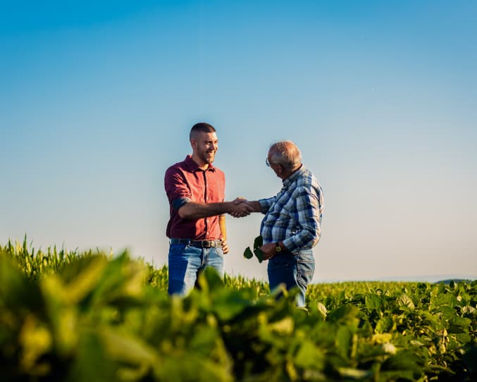 Two farmers having a conversation in a greenhouse